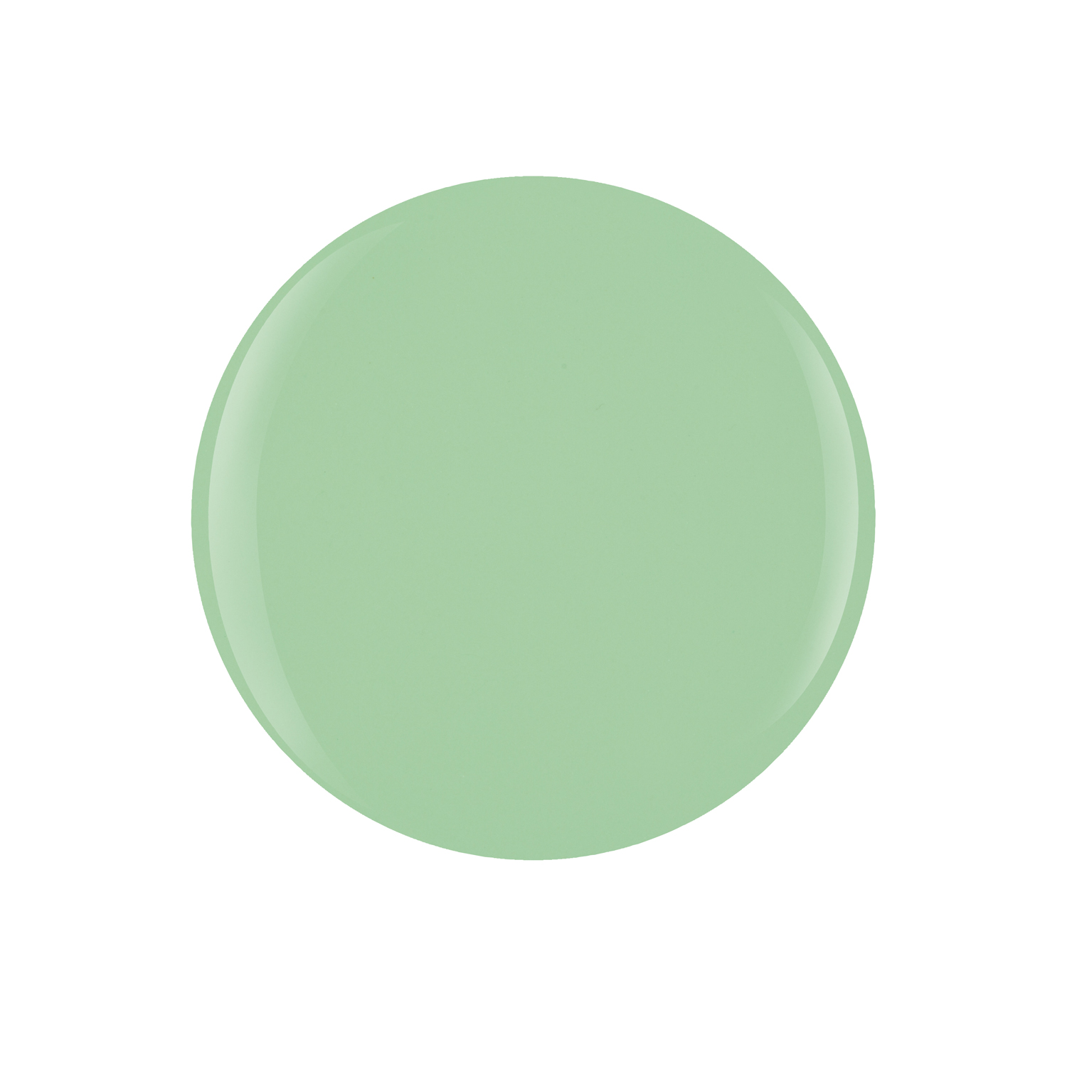 MT50085 MINT CHOCOLATE CHIP